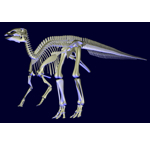 los-huesos-escaneados-de-un-edmonotosaurus-en-3d.jpg