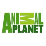 animal-planet.jpg