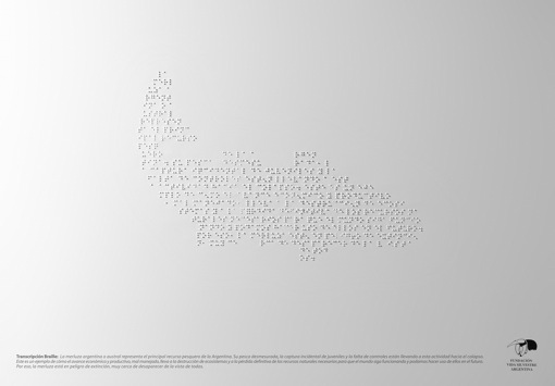braille-merluza.jpg
