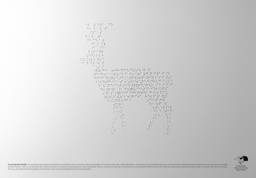 braille-venado.jpg