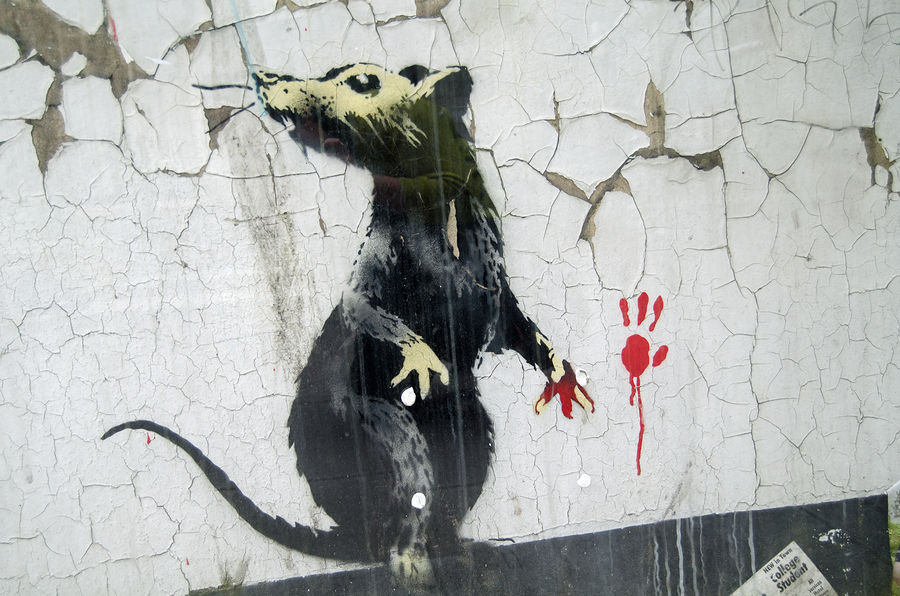 Banksy Graffiti Rat