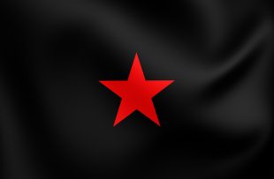 La estrella roja con fondo negro: la bandera del EZLN.